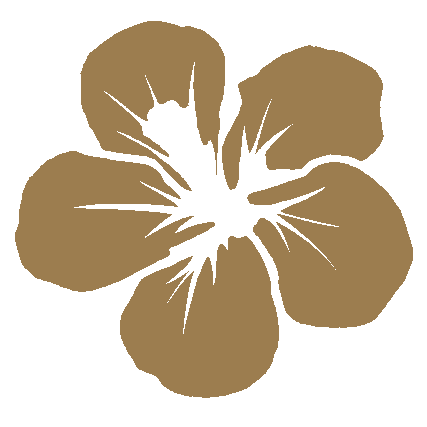 Блог студии Пси Сервис